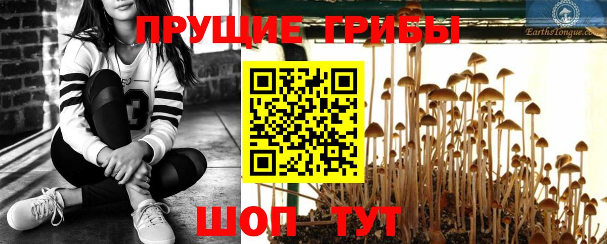 Нурлат  Галлюциногенные грибы прущие грибы  Вход с VPN 
